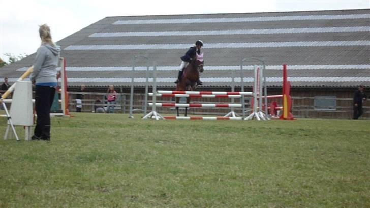 Welsh Pony (sec B) Wanda solgt :´( billede 14