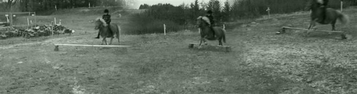 Anden særlig race pippi<3 billede 18