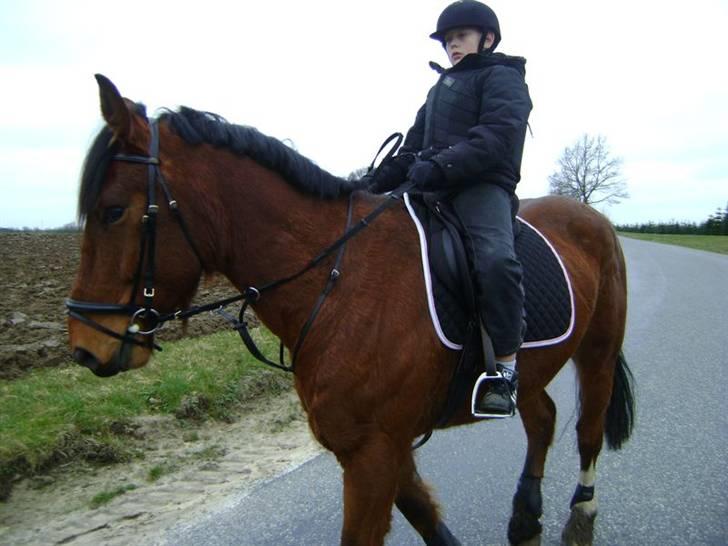 Anden særlig race Charlie  billede 3