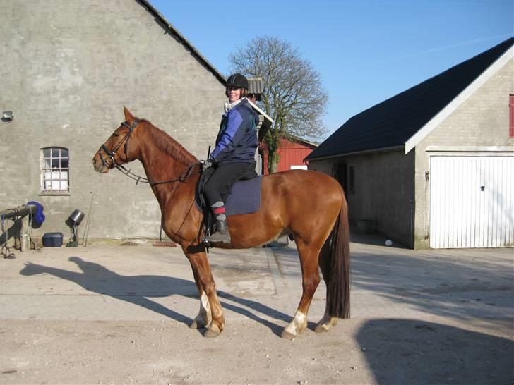 Frederiksborg Rubin billede 11