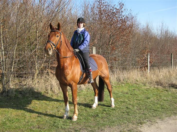 Frederiksborg Rubin billede 12