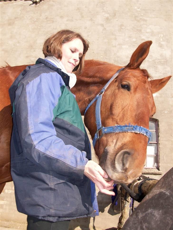 Frederiksborg Rubin billede 13