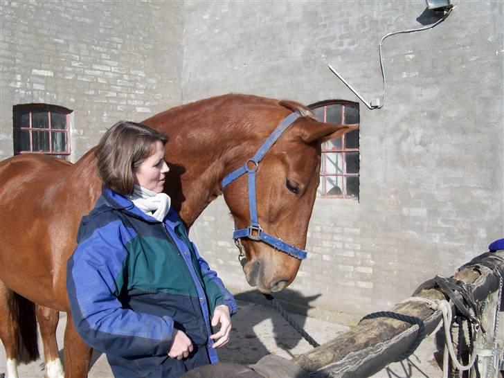 Frederiksborg Rubin billede 14