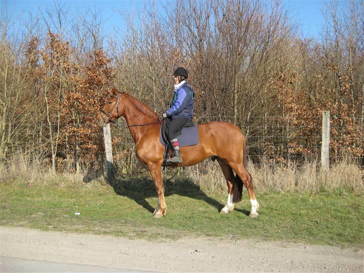 Frederiksborg Rubin billede 15