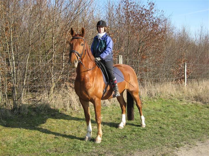 Frederiksborg Rubin billede 16