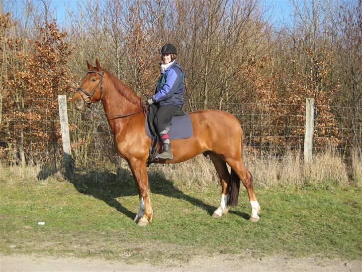 Frederiksborg Rubin billede 18