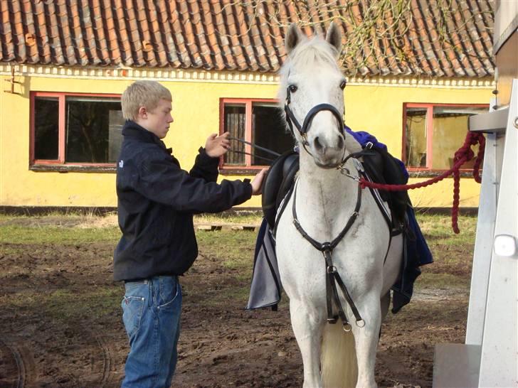 DSP Clements Miss Young  - Nicolai og Miss Young sadler af efter MB i HJR :)  billede 12