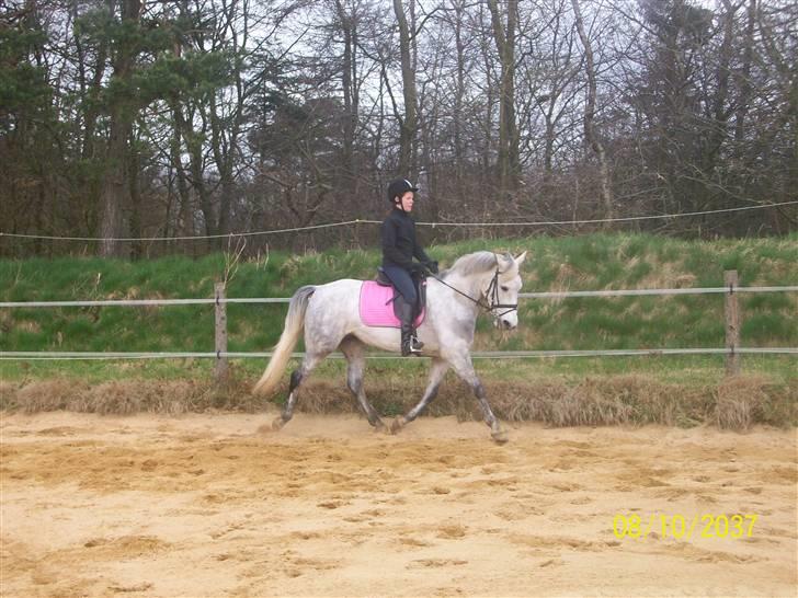 Anden særlig race Miss behaven<3 - Træning på banen billede 10