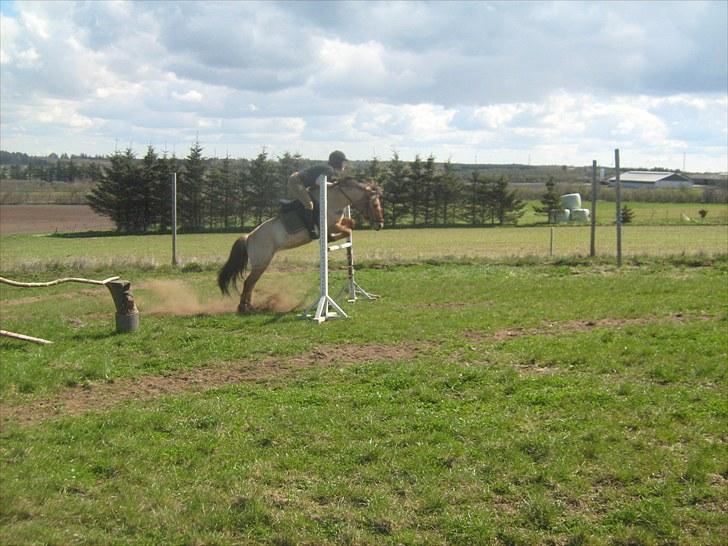 Anden særlig race cheri*solgt - 18: træning, 5 maj 2010<3 billede 18