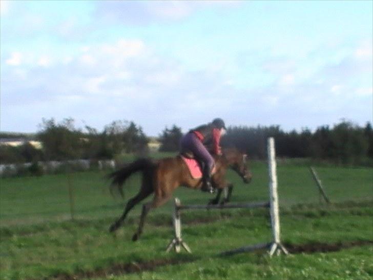 Anden særlig race $unshine<3 R.I.P:'( - 19:træning sep10 11 år billede 19