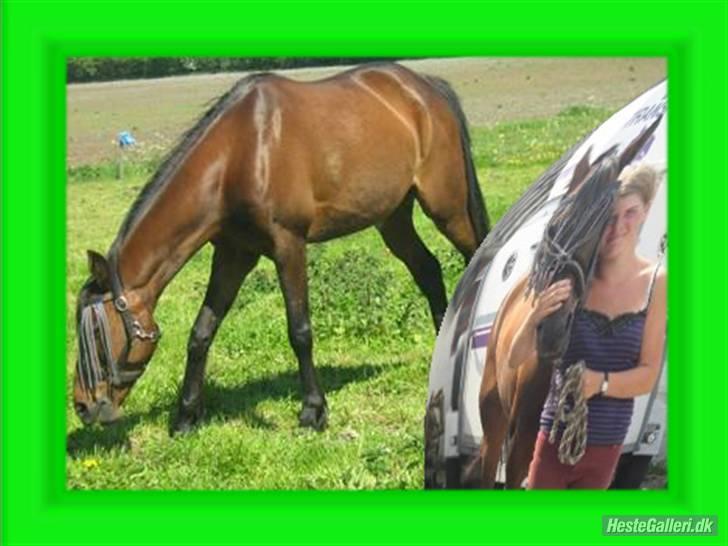 Anden særlig race $unshine<3 R.I.P:'( - 20: hvor jeg dig elsker dig<33:) billede 20