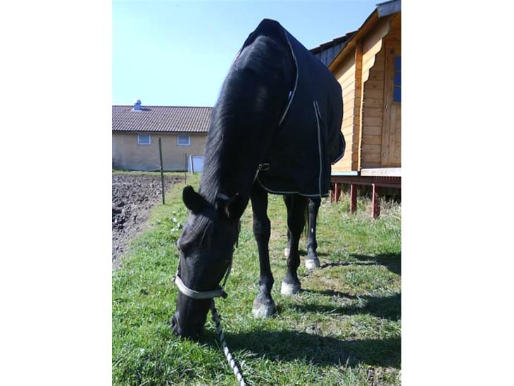 {{currentPhoto.altText}} billede {{currentPhoto.number}}