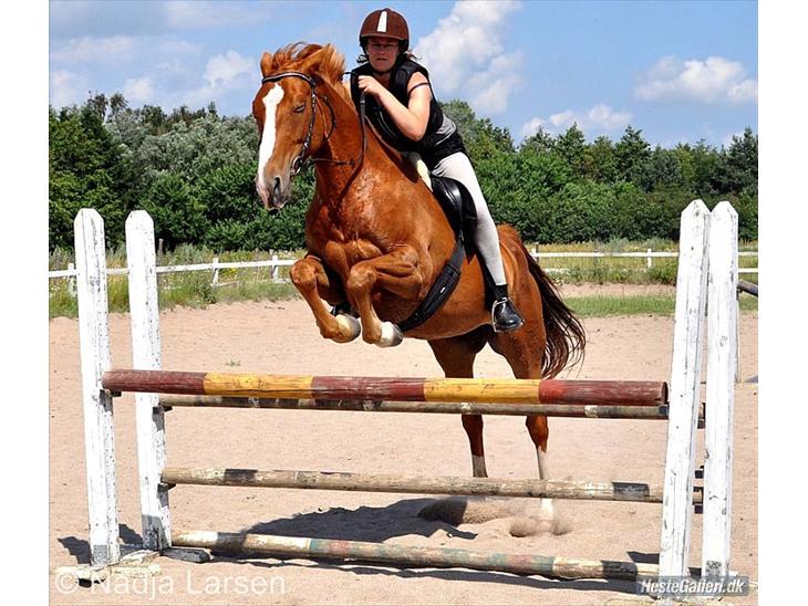 {{currentPhoto.altText}} billede {{currentPhoto.number}}