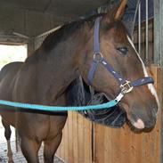 Traver mor's kæle potte okki