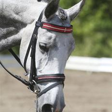 DSP Fun Time *SOLGT*