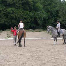 DSP Fun Time *SOLGT*