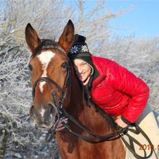 Dansk Varmblod Shirley R.I.P Fra d 21/10