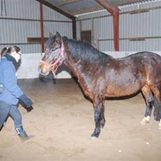 DSP Prins *har reddet*