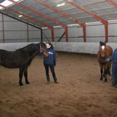 DSP Prins *har reddet*