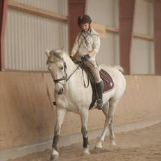 Anden særlig race Nicole