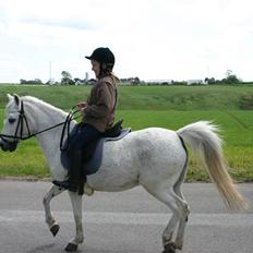 Anden særlig race Maj *Gamle part*