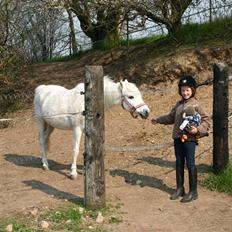 Anden særlig race Maj *Gamle part*