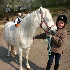 Anden særlig race Maj *Gamle part*