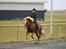Islænder Kylja frá Wiesenhof - Weee galop igen.
