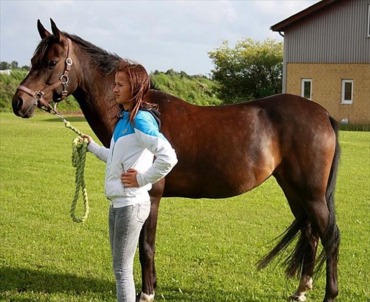 Anden særlig race Chica billede 13