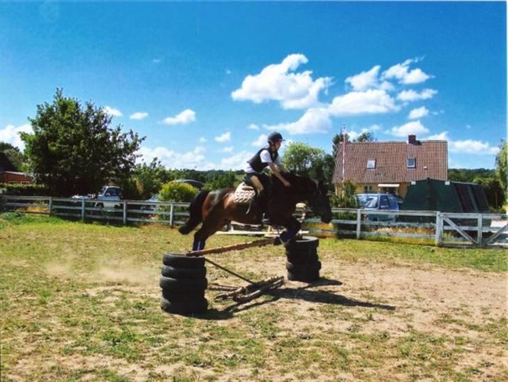 Anden særlig race Egholmgårds Kasper -solgt billede 2