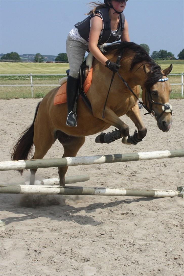 Connemara Com'si billede 4