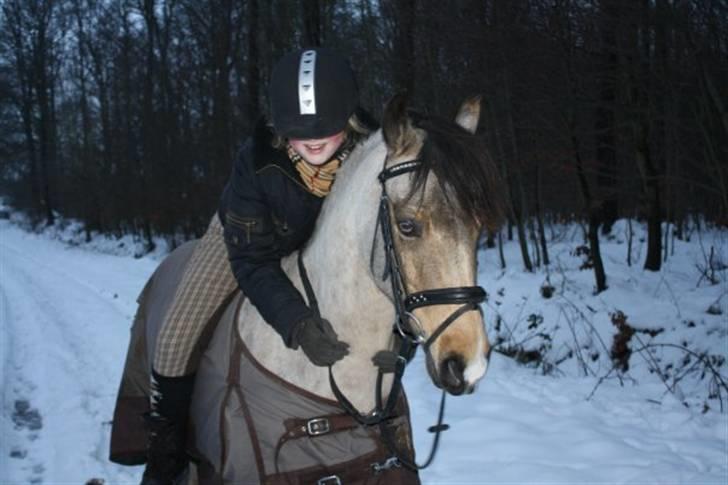 Connemara Com'si billede 9