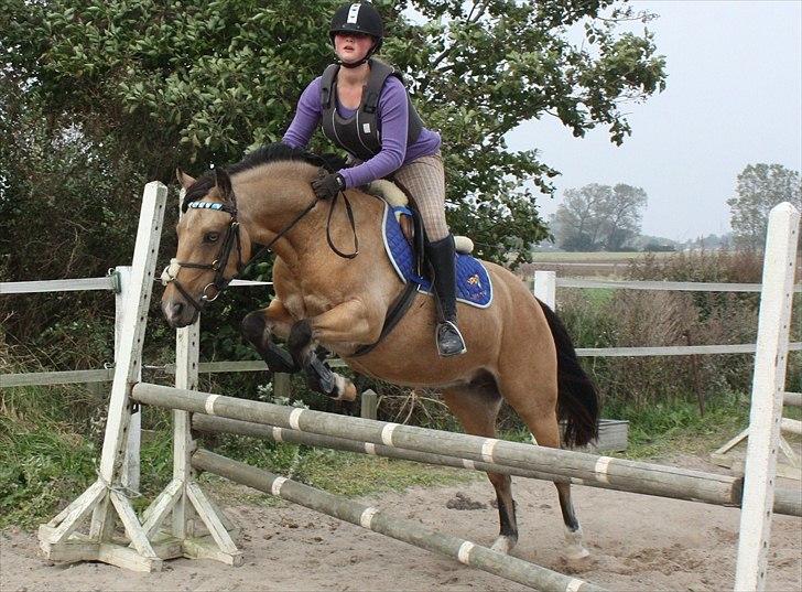 Connemara Com'si billede 2