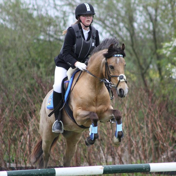 Connemara Com'si billede 8