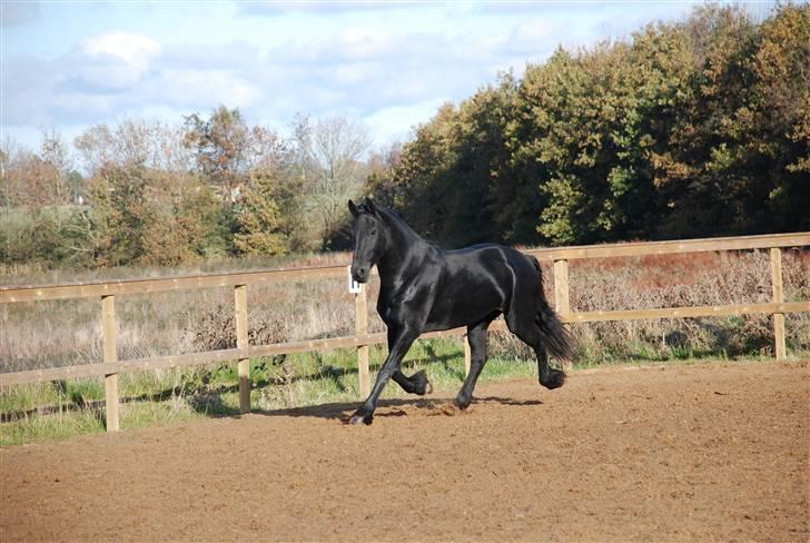 Frieser Joukje Oldaa J - kijofreg.dk hun viser sig rigtig billede 12
