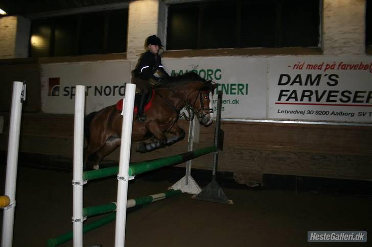 New Forest sille - hoooop!;-) billede 8