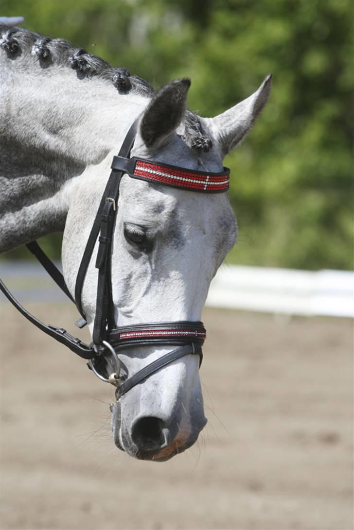 DSP Fun Time *SOLGT* billede 1