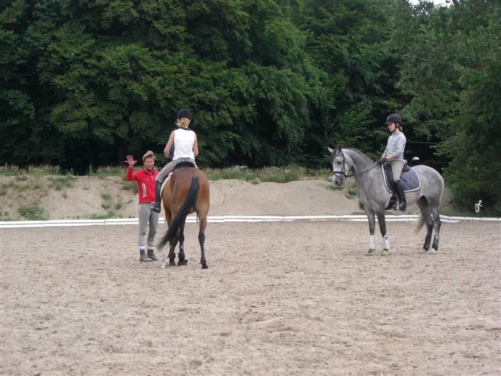 DSP Fun Time *SOLGT* billede 2