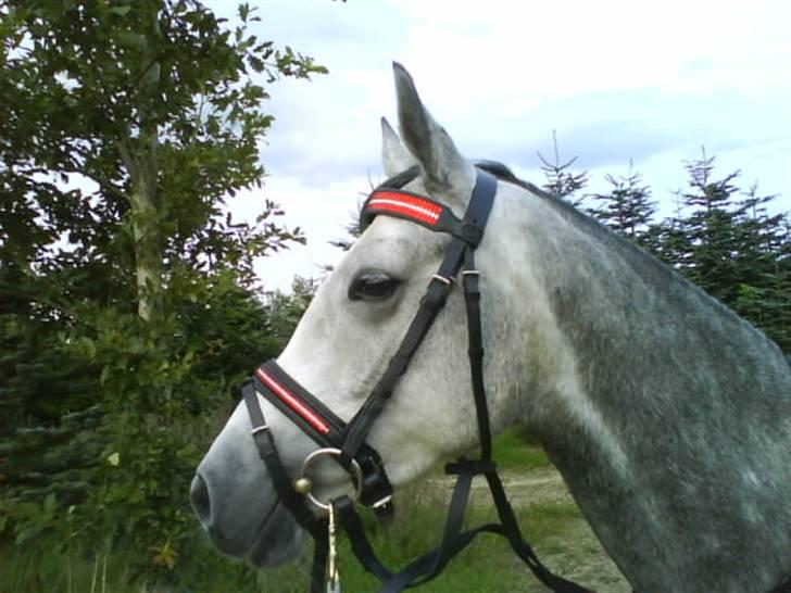 DSP Fun Time *SOLGT* billede 4