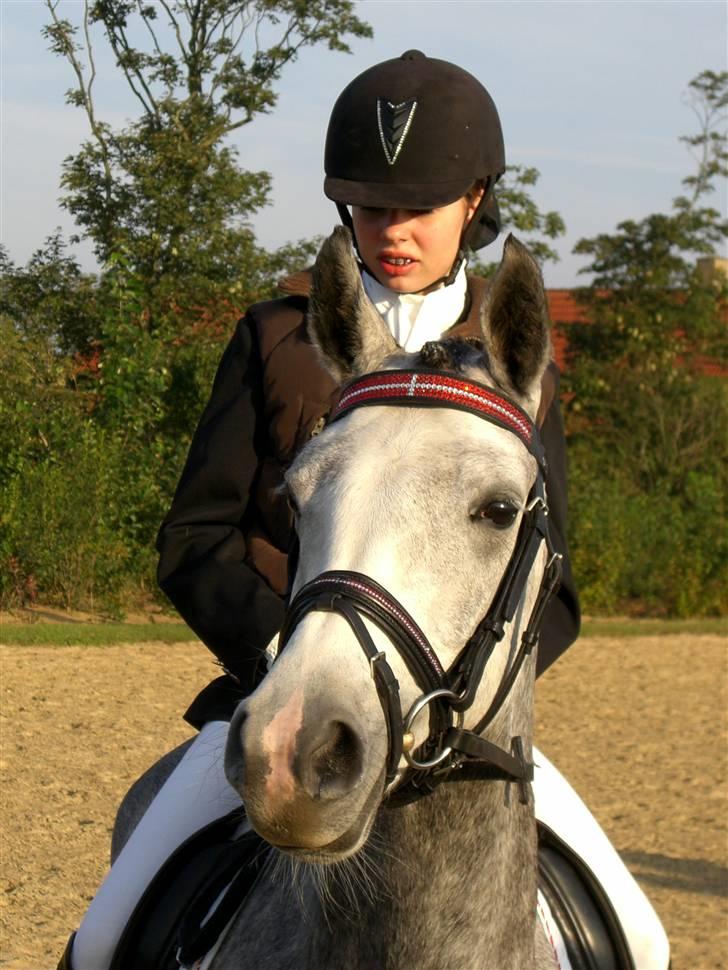 DSP Fun Time *SOLGT* billede 5