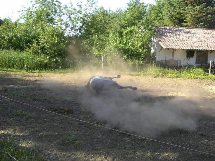 DSP Fun Time *SOLGT* billede 6