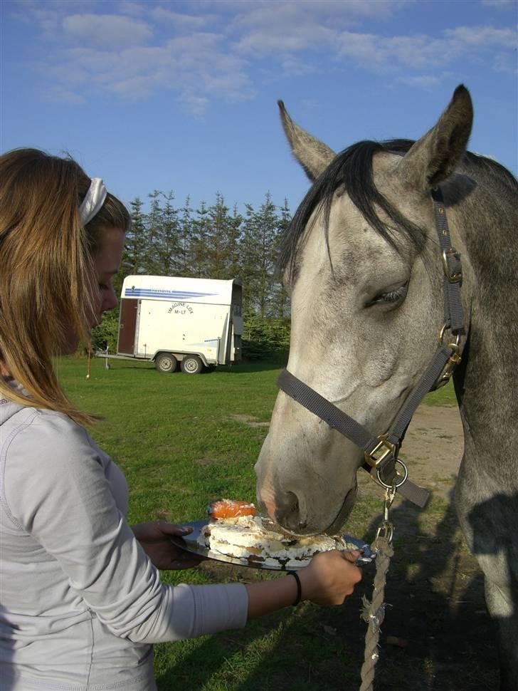 DSP Fun Time *SOLGT* - Fun Time bliver 5 år gammel billede 7