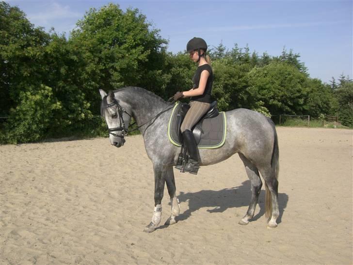 DSP Fun Time *SOLGT* billede 8