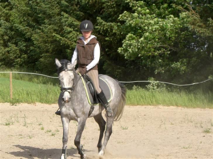 DSP Fun Time *SOLGT* billede 10