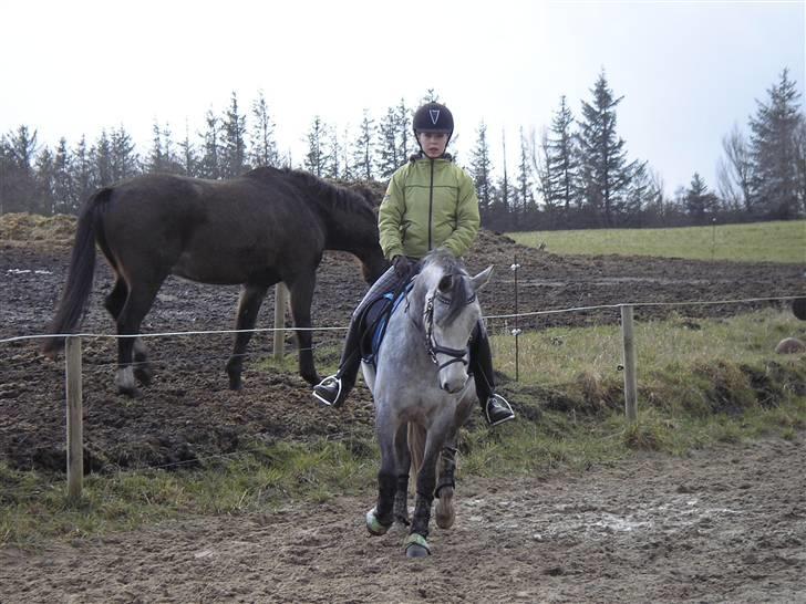 DSP Fun Time *SOLGT* billede 11