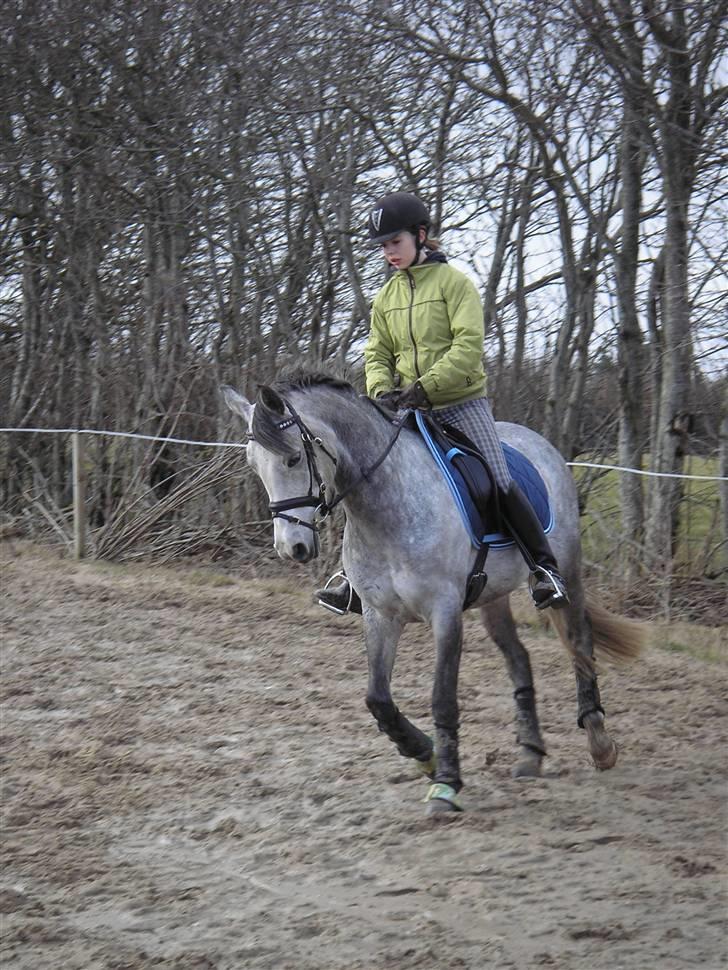 DSP Fun Time *SOLGT* billede 13