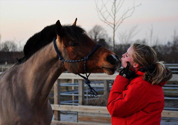 Anden særlig race Flying Star<3 - I love you. Not for what you are or what you do, but for what I am, when I'm with you. billede 15