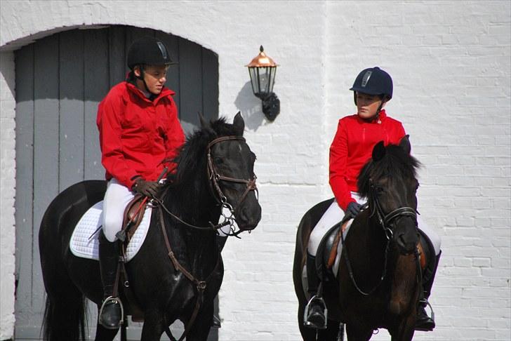 Anden særlig race Black Kikki - Foto : Jacqueline Tversted billede 12