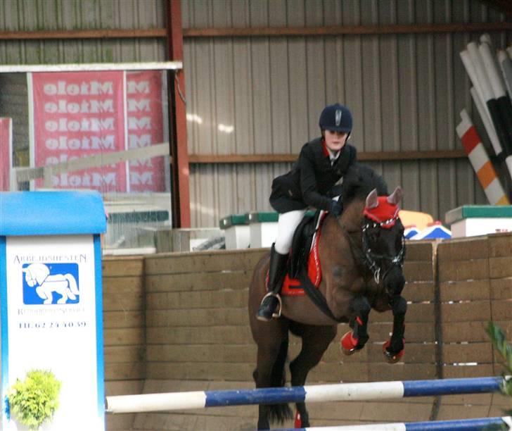 Anden særlig race Black Kikki - Foto : Jacqueline Tversted billede 14