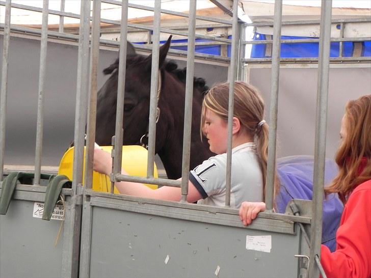 Anden særlig race Black Kikki - Foto : Jacqueline Tversted billede 16